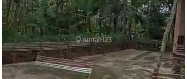 Dijual Cepat Tanah Di Lebak Banten 1
