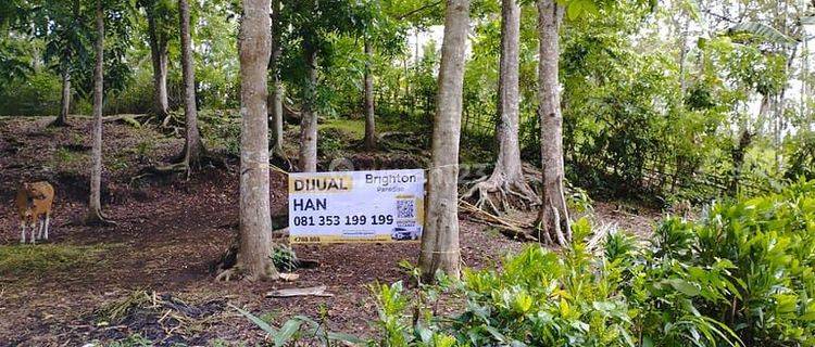 Tanah 36440m2 Baler Bale Agung Negara Jembrana 1