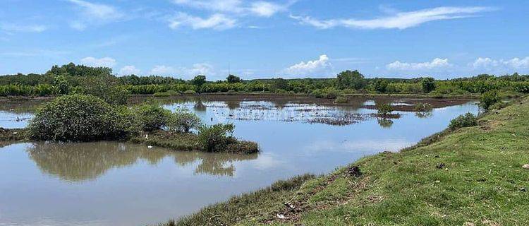 Tanah 5495m2 Subak Loloan Timur Jembrana 1