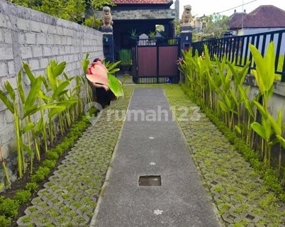 South Facing House 3 Rooms Banteng Bitera Gianyar 1