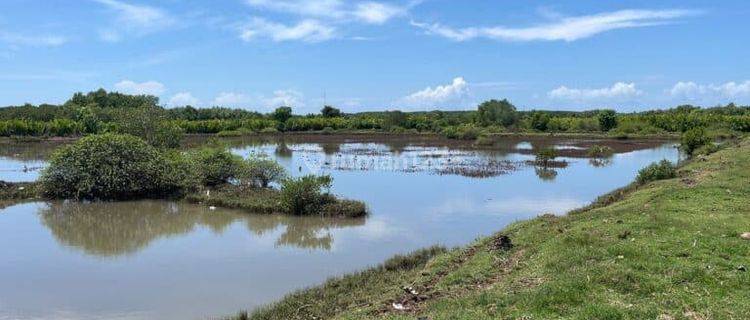 Selling 5495m2 of land in Subak Loloan Timur Jembrana 1