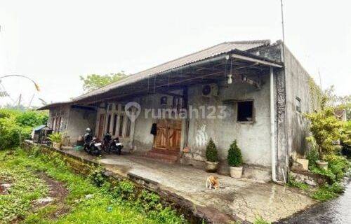 Turun Harga Jual Rumah Hadap Selatan Tenang Nyaman 5 Kamar Penatih Denpasar Timur 1