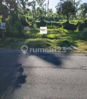 Minimum 5 year lease for 6 are land facing west Rangdu Seririt Buleleng Bali 1