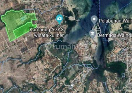 Jual Tanah 10 Hektar Sumba Timur Ntt  1