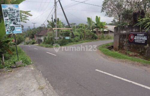 Land for sale 4985m2 Munduk Lumbang Baturiti Tabanan Hotspring River 1