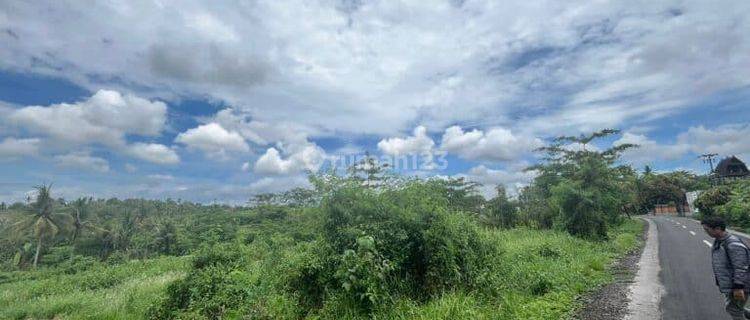 Land for sale 1940m2 Dry Land Batuaji Tabanan Village 1