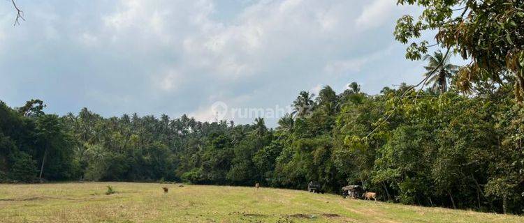 Tanah 5 Are Lalanglinggah Selemadeg Barat Tabanan 1