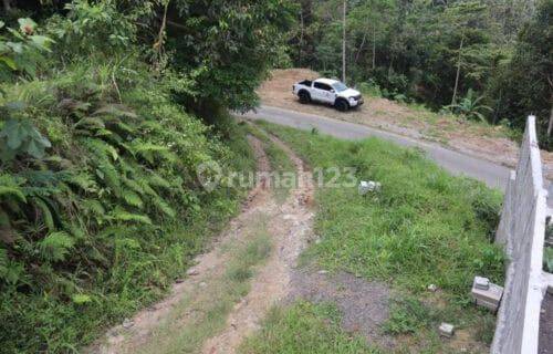 Tanah 87 Are Apuan Baturiti Tabanan View Sawah Dekat Jatiluwih 1