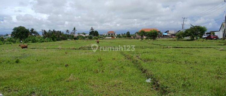 Tanah Kavling Pemandangan Sawah 6 Are Pererenan Canggu Bali 1