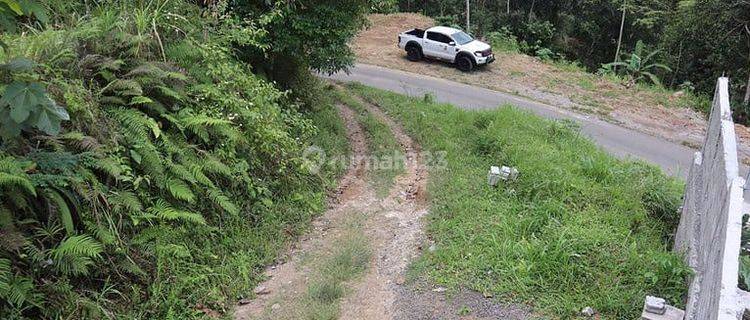 Tanah 87 Are Apuan Baturiti Tabanan View Sawah Dekat Jatiluwih 1