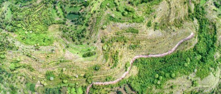 Tanah Panjaban Ocean View Pemandangan Laut Dan Bukit Teletubbies Nusa Penida 1