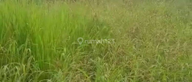 Jual Tanah Didaerah Menado dekat Bandara 1