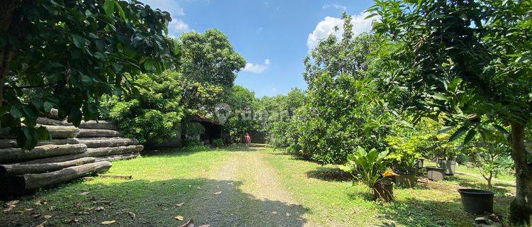 Sewa Tanah di Jl Raya Hasyim Ashari Cipondoh, Tangerang 1.200 m² 1