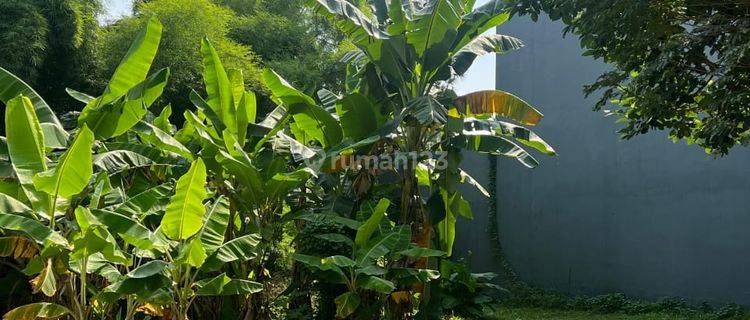 Kavling Badan Jarang Ada Cluster Exclusive 1