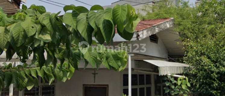Price, Ma'am, quick sale: Old house below NJOP in Mangga Besar, corner position. 1