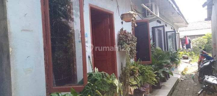 Rumah Kontrakan 3 Pintu Di Pinang 1