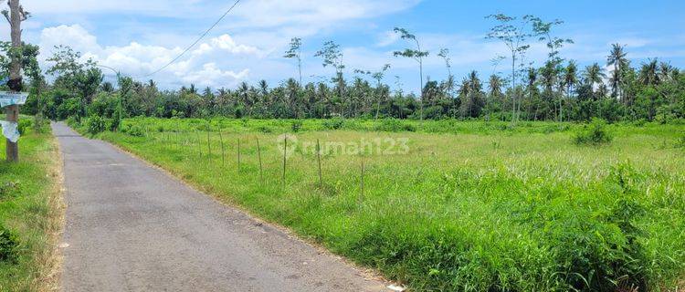 Tanah Bulusan Luas, Banyuwangi, Dekat Ketapang Indah Hotel 1