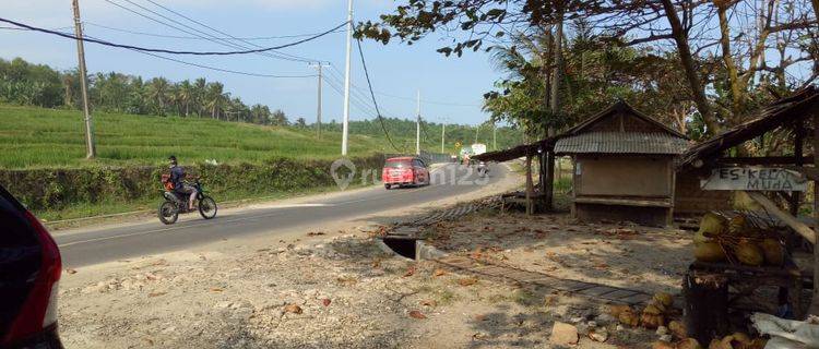 Jual Cepat Tanah Di Cihara Lebak Banten 1