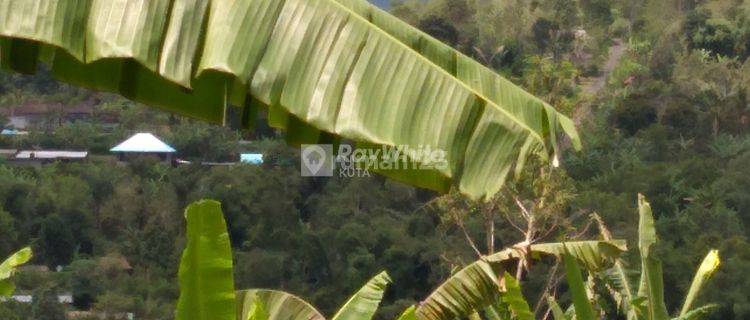 For Sale Lease, Land, Wonderful Mountain View, Plaga. 1