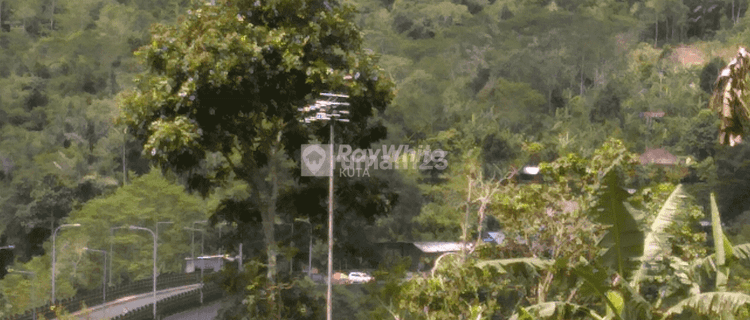 For Sale Lease, Land, Wonderful Mountain View, Plaga. 1