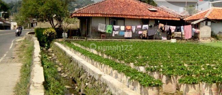 Tanah di Jl Raya Ciwidey, Bandung, Kawasan Sejuk 1