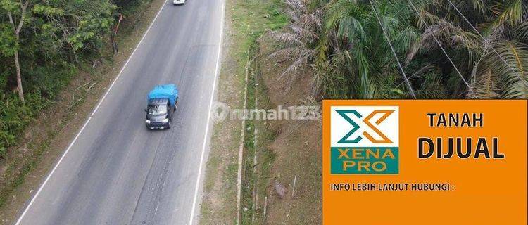 Tanah Strategis Tepi Jalan Poros Kawasan Ikn 1