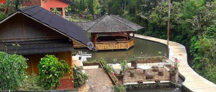 Villa sangat asri dengan lahan sangat  luas di ciwedey kab bandung 1