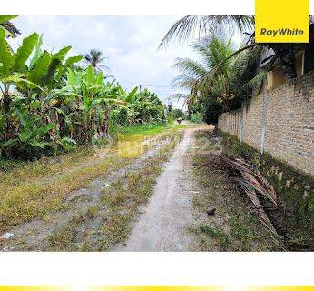 Tanah Murah Natar Luas 3000m2 1