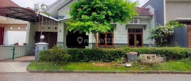 Rumah Asri Full Furnish dekat Kampus Undip Tembalang 1