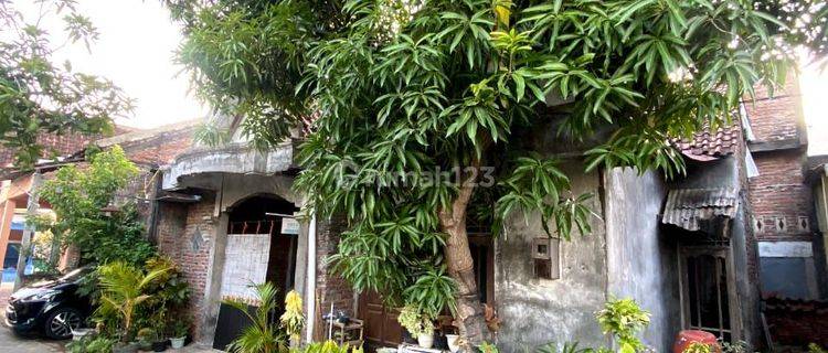 Rumah Asri Lingkungan Sejuk Di Sembung Harjo Semarang Timur 1