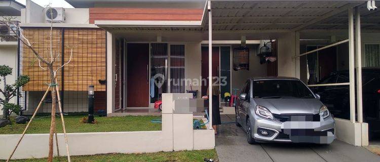 Sewa Rumah Bagus Bsb Full Furnished 1