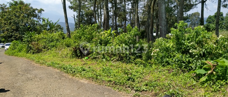 Tanah dengan view bagus  1