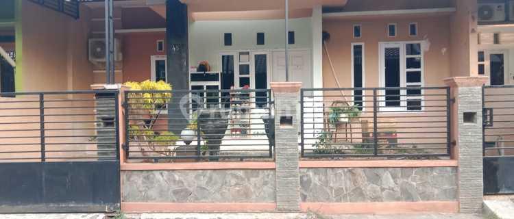 Nice House in Tembalang 1