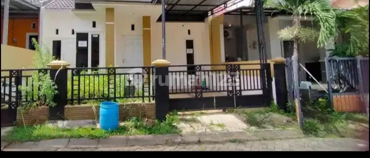 Beautiful House in Tembalang 1