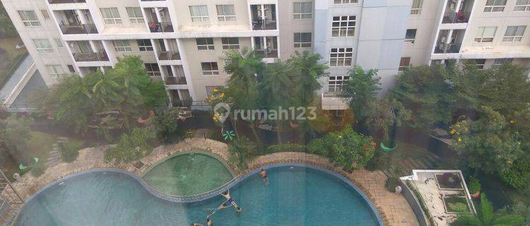 Apartemen Scientia 1br Dijual Bagus Sekali Siap Huni Vrapp 1