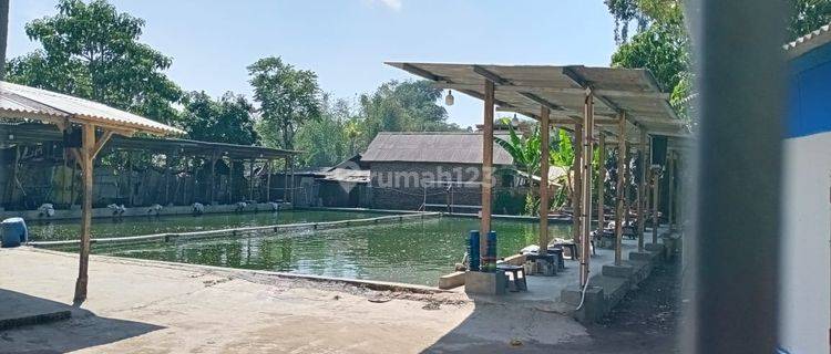 kolam pemancingan di daerah palnunjuk samarang garut 1