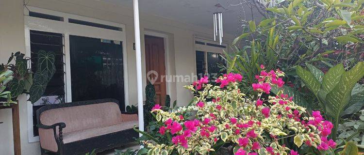 Rumah Bagus di Jl. Semangka Malang, Malang Cocok Untuk Kos Kosan 1