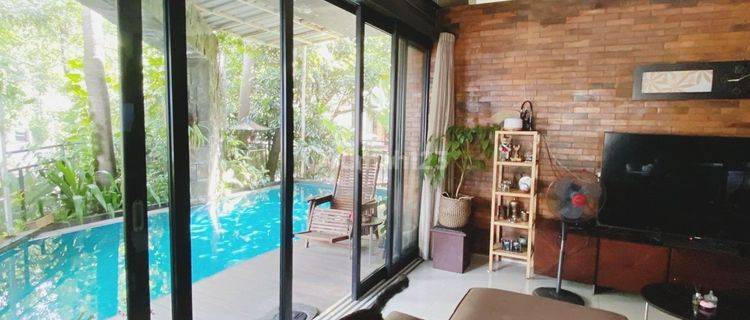 Rumah Dengan Kolam Renang Harga Nego Di Bintaro Sektor 9 1