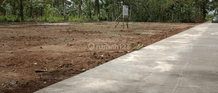 Jual Tanah Murah Shm, Dekat Taman Buah Mekarsari 1