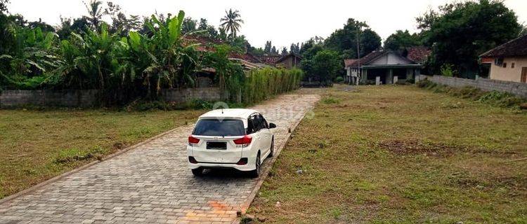 Jual Tanah Murah Cileungsi Dekat Tol Nagrak, Free SHM 1