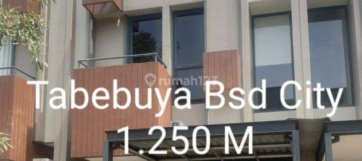 Rumah Bsd City Tabebuya 1.250 Nett Siap Huni Selisih 1 Rumah Dari Hoek 1