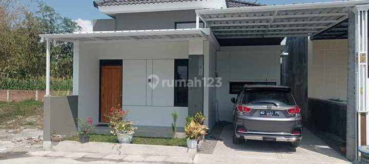 Cemara Land Trunuh Rumah Murah 200 Jt An Di Klaten Selatan  1