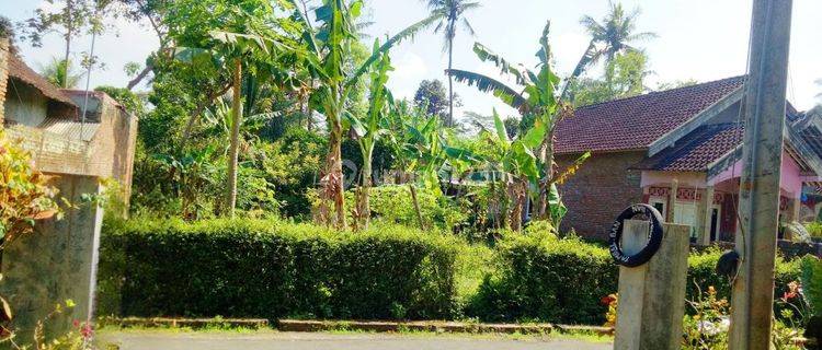 Tanah Murah Siap Bangun di Jalan Kebonsari, Desa Ngebruk, Sumberpucung Malang 1