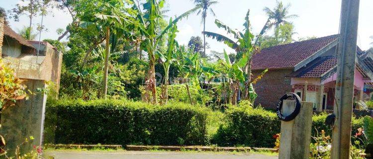 Dijual Tanah Murah di Jalan Kebonsari, Ngebruk, Sumberpucung, Malang 1