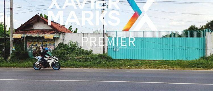 Tanah Luas Siap Bangun di Jl. Raya Pacing, Mojokerto 1