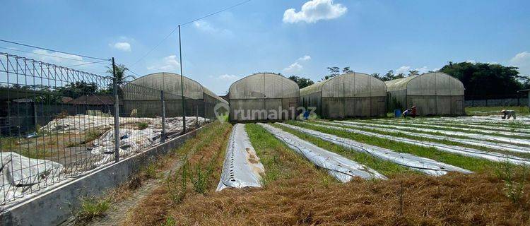 Tanah Siap Pakai di Turen, Kab. Malang  1