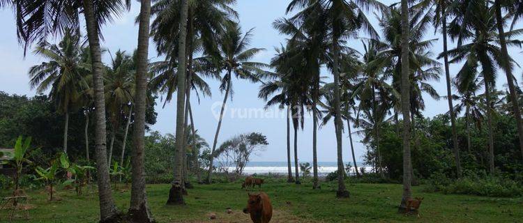 Tanah Pekutatan Los Pantai 2.885m2 1