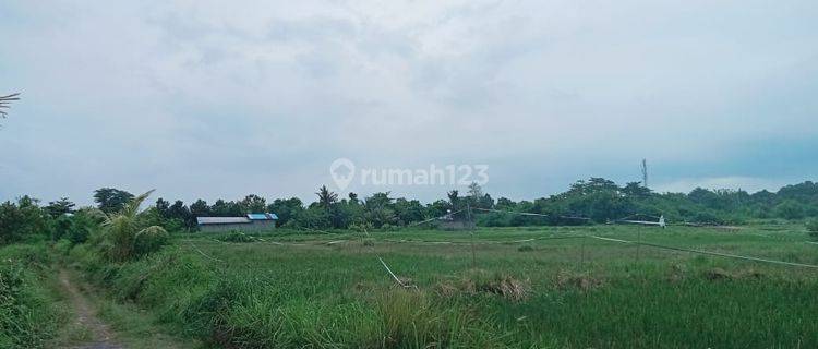 Dijual Cepat Tanah Di Tulikup Pantai Siyut Gianyar View Pantai 1