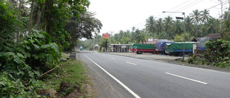 Tanah Pekutatan Los Pantai Dan Tol Jalan Raya Gilimanuk Denpasar 1