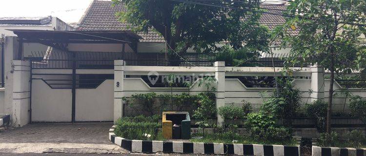 Rumah yang sejuk asri strategis di kota Surabaya 1